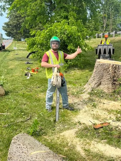 Tree stump removal site with wood chips and cleared ground area