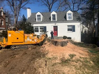 Yellow tracked wood chipper processing tree debris in residential yard with white house and bare trees