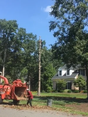 Stump grinder and wood chipper equipment positioned next to residential home after tree removal