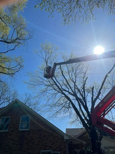 Bucket truck removing large tree limbs near brick residential home