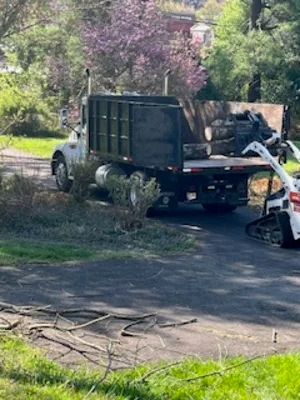 Dump truck loaded with tree branches and debris, tree removal equipment on-site